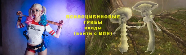 дмт Алексин
