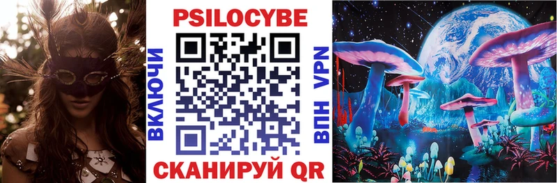 магазин продажи наркотиков  Шацк  Псилоцибиновые грибы Magic Shrooms 